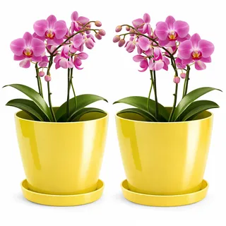 PECZEKO Blumentopf glänzender, Pflanzkübel aus Übertopf Kunststoff Dekorativer Topf für, groß und klein Pflanzen, 2er-Set blumenkübel mit Untersetzer, blumenkübel kräutertopf, Gelb, ø 14 cm