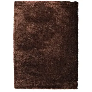 ASTRA Teppich, Polyester, Braun, 170 cm x 240 cm