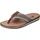 21095-42 braun 44
