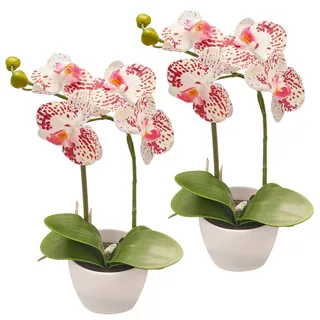 Creativ green Kunstorchidee »Orchidee Phalaenopsis« im Design-Topf
