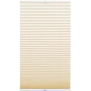 GARDINIA Plissee Concept Tageslicht 100 x 130 cm Beige