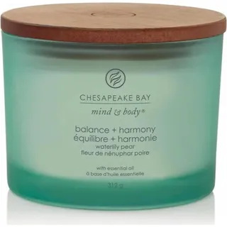 seifen-shop Balance & Harmony Duftkerze 312 g grün