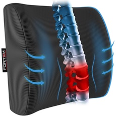 FORTEM Rückenkissen Bürostuhl, Lendenwirbelstütze Rückenkissen für Auto, Lendenwirbelkissen Schreibtischstuhl, Memory-Schaum Rückenkissen Stuhl, Waschbarer Bezug (Dunkelgrau)