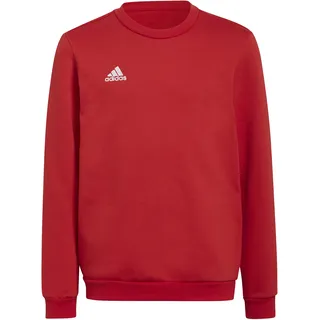 adidas adidas, Entrada 22 Sweatshirt Kinder, Rot, (140)