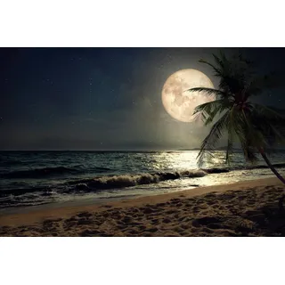 Papermoon Fototapete »STRAND-NATUR PALMEN MEER DÜNEN MOND PALME LANDSCHAFT«, bunt