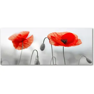 Tulup® Küchenrückwand Spritzschutz aus Glas -125x50 -Spritzschutz auf gehärtetes Glas Deko Blumen & Pflanzen Mohnblumen - Rot