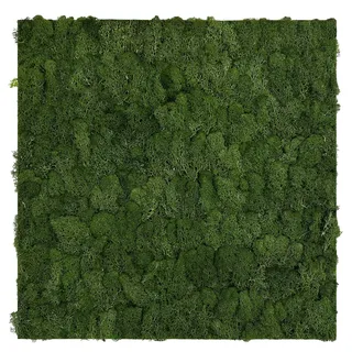 Wandpaneel Modular Wall 52 x 52 cm dark green