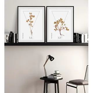 Queence "Potentilla fruticosa", Pflanzen Pflanzenbilder Schriftzug 1 Stk. tlg. HD Premium Poster-Druck inkl. Holzrahmen, farbe rahmen: schwarz, farbe bild(er): braun
