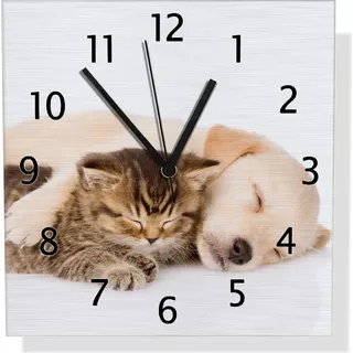 Wallario Design Wanduhr Katze und Hund in Harmonie - Kuschelnde Tiere aus Aluverbund, Größe 30 x 30 cm - Braun