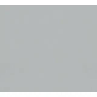 A.S. Création Vliestapete 10,05 m x 0,53 m mit matter Struktur - Grau - einfarbige Uni Tapete Made in Germany - 309136