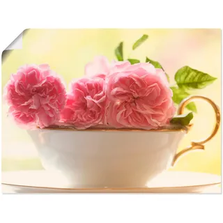 Artland Wandbild »Vintage Rosen« Blumen 1 Stk. tlg. als Leinwandbild, Poster, Wandaufkleber in verschied. Größen, pink