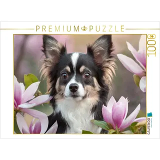 CALVENDO Puzzle Portrait eines schwarz-weißen Chihuahua der durch Magnolien schaut | 1000 Teile Lege-Größe 64x48cm Foto-Puzzle für glückliche Stunden