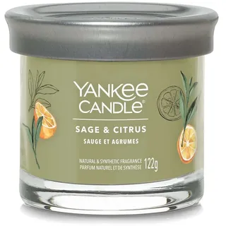 Yankee Candle Sage & Citrus Duftkerze 122 g khaki