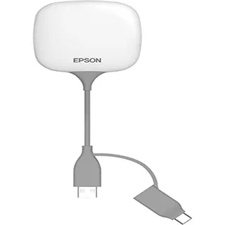 Epson ELPWT01 - White