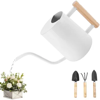 JOTOL Gießkanne,1L Gießkanne Klein Metall Edelstahl Moderner Blumengießkanne mit Langem Auslauf,Kleine Gartengeräte,Gießkanne Zimmerpflanzen für Haus Pflanze Bonsai Outdoor Garten Blumen Weiß