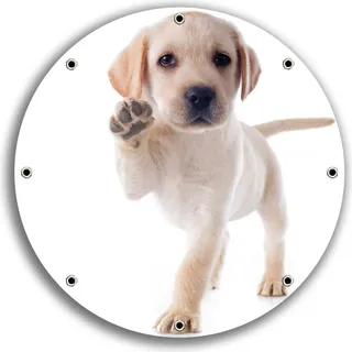 Wallario rundes Outdoor-Poster für Garten oder Balkon, Motiv Süßer Labrador-Welpe sagt Hallo, 30 cm Durchmesser - Braun