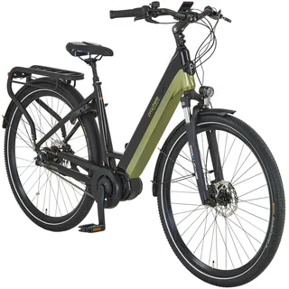 Geniesser 5.0 28 Zoll RH 48 cm Schwarz-Silbergrün