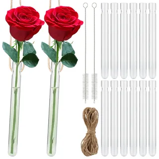 12 Stück Hängende Reagenzgläser für Blumen, Vase mit Loch Reagenzgläser, Transparent Reagenzglas Vase, Kreative Glas Reagenzglas für Haus, Büro, Hochzeit Dekoration(1.5 * 15cm)