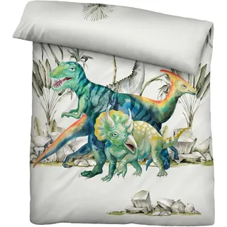 Biberna Linon Bettwäsche Dino Größe 135x200/80x80 cm