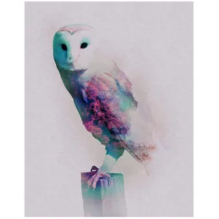 KOMAR Bild, »Animals Forest Owl« Tiere 1 Stk. tlg. Wandbild zur Dekoration, | ohne Rahmen, bunt