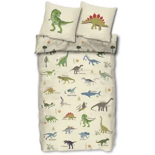 SkyBrands Dinosaurier Kinderbettwäsche 135x200 cm - Dino ABC Wendebettwäsche mit Reißverschluss, 2-teilig (80x80 cm Kissen), 100% Baumwolle, Öko-Tex Standard 100, Motiv: T-Rex & Stegosaurus