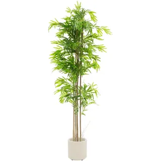 Ml-Design Kunstpflanze Bambus , Grün , Holz , Baum/Pflanze/Natur , Freiform , 210 cm , Dekoration, Blumen & Blumentöpfe, Kunstpflanzen