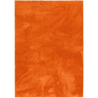 Pergamon Hochflor Langflor Teppich Silky Orange, 80x150cm