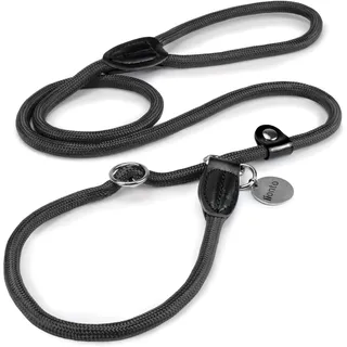 LIONTO Retrieverleine, Hundeleine Führleine schwarz