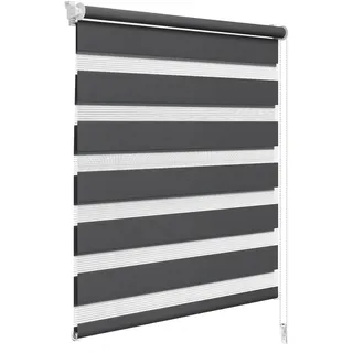 WOLTU Doppelrollo Klemmfix ohne Bohren Anthrazit B65 x H150 cm, Duo Rollo lichtdurchlässig Fensterrollo für innen verdunkelnd, Zebrarollo mit Kettenzug - Seitenzugrollo für Fenster und Tür