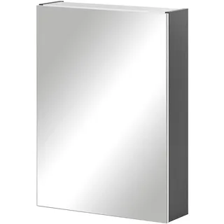 Schildmeyer Basic 50 cm grau