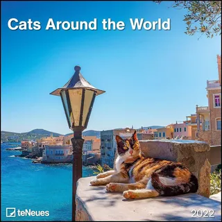 Cats Around the World 2022 - Wand-Kalender - Broschüren-Kalender - 30x30 - 30x60 geöffnet - Katzen-Kalender
