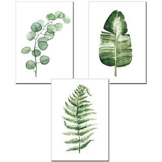Nicole Knupfer 3er Set Vintage Botanische Grüne Pflanzen Poster Gedruckt Poster (A, 30 x 40 cm)