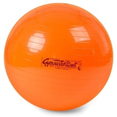 Bild Pezzi®-Ball Original Gymnastikball mit Übungsanleitung