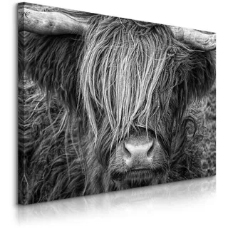 Muralo Leinwandbild Schottischen Kuh Hochlandrind Natur 3D 120/80 cm , Schwarz, Weiß, Grau , Textil , Tiere , Rechteckig , 120x80 cm , Bilder & Rahmen, Bilder, Leinwandbilder