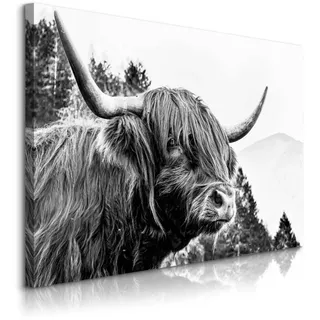 Muralo Leinwandbild für Wohnzimmer Schottische Kuh Bergen Natur 3D 100x70 , Schwarz, Weiß, Grau , Textil , Tiere , Rechteckig , 100x70 cm , Bilder & Rahmen, Bilder, Leinwandbilder