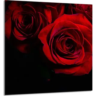 GLASPLATTE FÜR KÜCHE 60x65 Rose