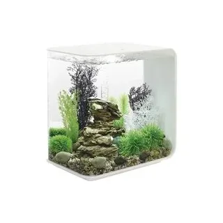 Oase 72034 biOrb FLOW 30 LED weiß Aquarium 30 l mit LED-Beleuchtung