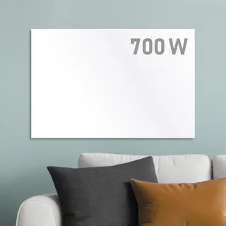 BRAST Infrarotheizung 700 Watt Europe Inkl. Wandhalterung hoher Wirkungsgrad Flexibler Einsatz Ultraflache Bauweise IP 700