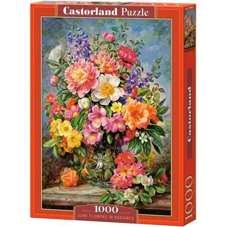 Castorland June Flowers in Radiance 1000pcs. Boden