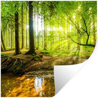 MuchoWow Wandtattoo Wald - Landschaft - Wasser - Bäume - Sonne - Grün - Natur 50x50 cm , Kunststoff , 50x50x0.1 cm , Tapeten & Wandverkleidungen, Wandtattoos & Sticker