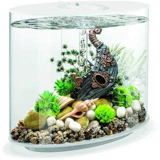 Oase biOrb biOrb LOOP 30 LED weiß Aquarium EEK: G (A - G) 30l mit LED-Beleuchtung