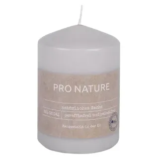 Müller Kerzen "PRO NATURE" Stearin Stumpenkerze 100/68mm, Nachhaltige Kerzen mit natürlichen Inhaltsstoffen in einer modernen kleinen Form, 1 Packung = 6 Stück, hellgrau