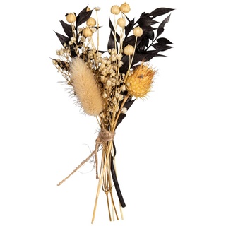 Rayher Trockenblumen-Strauß, schwarz/beige Töne, Mini-Strauß Trockenblumen, Bündel 18 – 20 cm, echte getrocknete Blumen, Trockenblumen Deko, 85491576