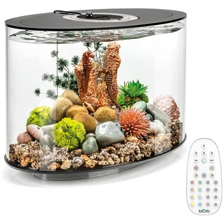 biOrb Loop 15 MCR schwarz