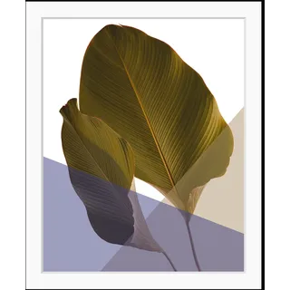 queence Bild »Moritz« Abstrakt   Blätter   Figuren   Kunst   Pflanzen   Pflanzenbilder HD Premium Poster-Druck inkl. Holzrahmen, bunt