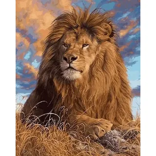 Pracht Creatives Hobby GmbH Diamond Painting Löwe 40x30 cm