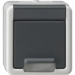 Gira Schuko-Steckdose 1 St. Grau