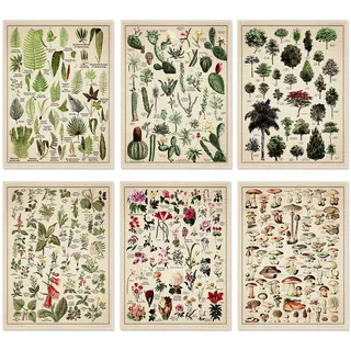 Set mit 6 Pflanzenpostern im Vintage-Stil, botanische Drucke, 30,5 x 40,6 cm, dekoratives Wickelposter, Baum, Wandkunst, Bild, Vintage-Pilz-Dekor, florales Naturposter für Wand, Kaktus, Poster, Drucke