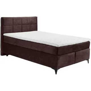 Xora BOXSPRINGBETT Aubergine - 140x200 cm