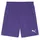 teamGOAL Shorts Herren Lila 3XL